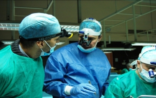 chirurgia su cadavere: dissezioni anatomiche